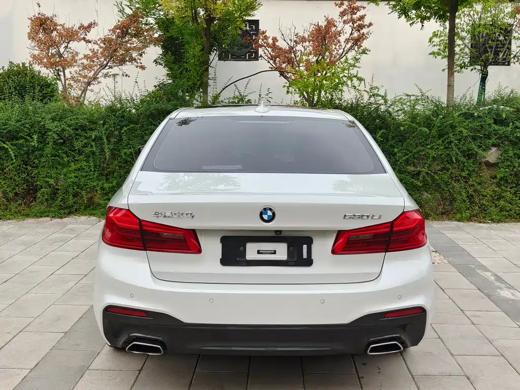 BMW 5 Series 5 2019 530Li Lead M Sport