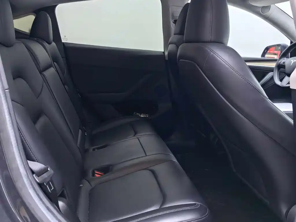 Tesla Model Y — миниатюра 5