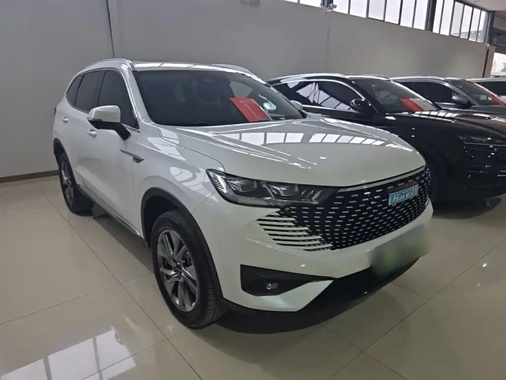 Haval H6 New Energy — миниатюра 4