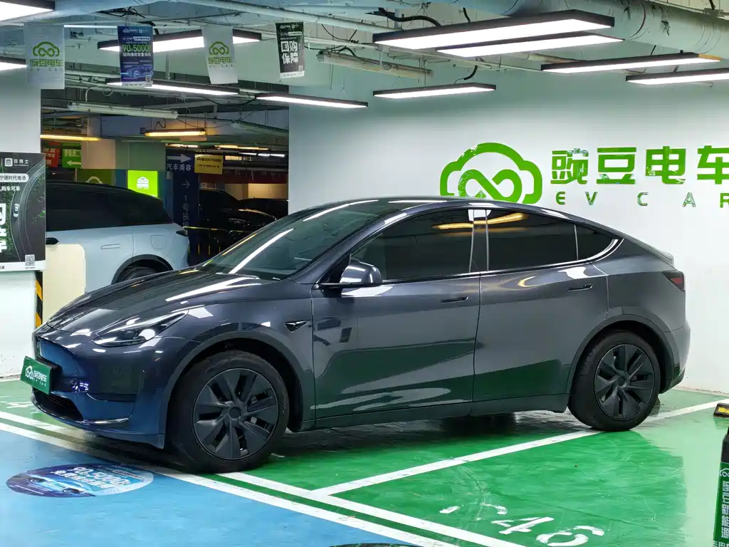 Tesla Model Y — миниатюра 2