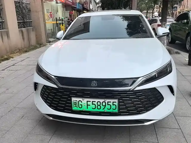 BYD QIN L 2024