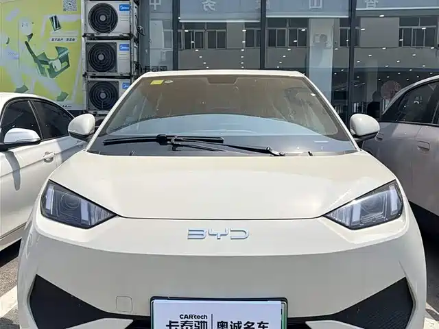 2026 BYD Seagull