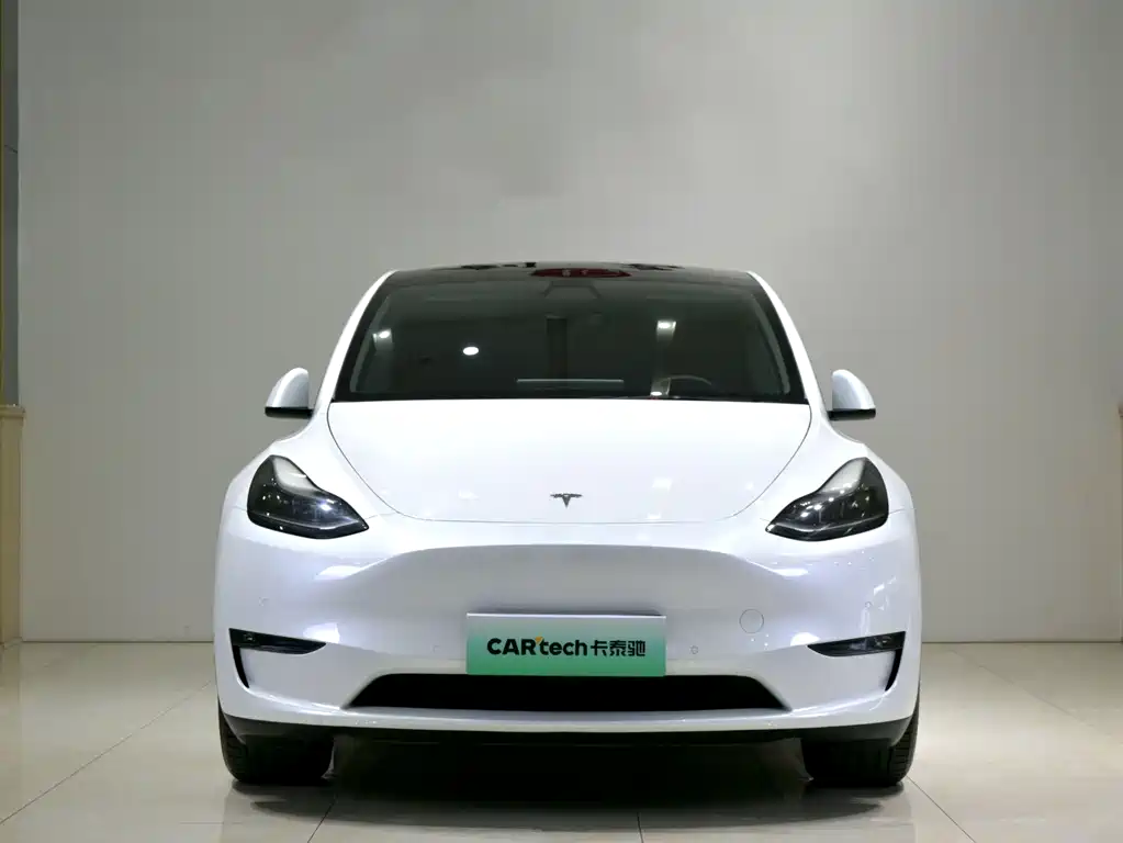 Tesla Model Y — миниатюра 2