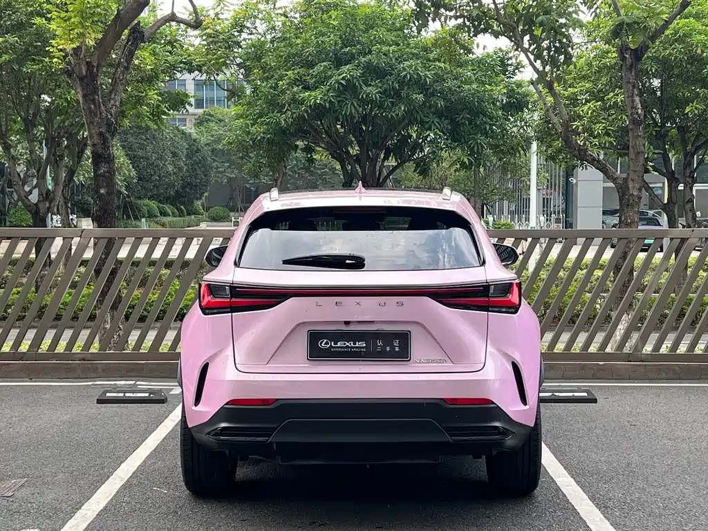 Lexus NX — миниатюра 19