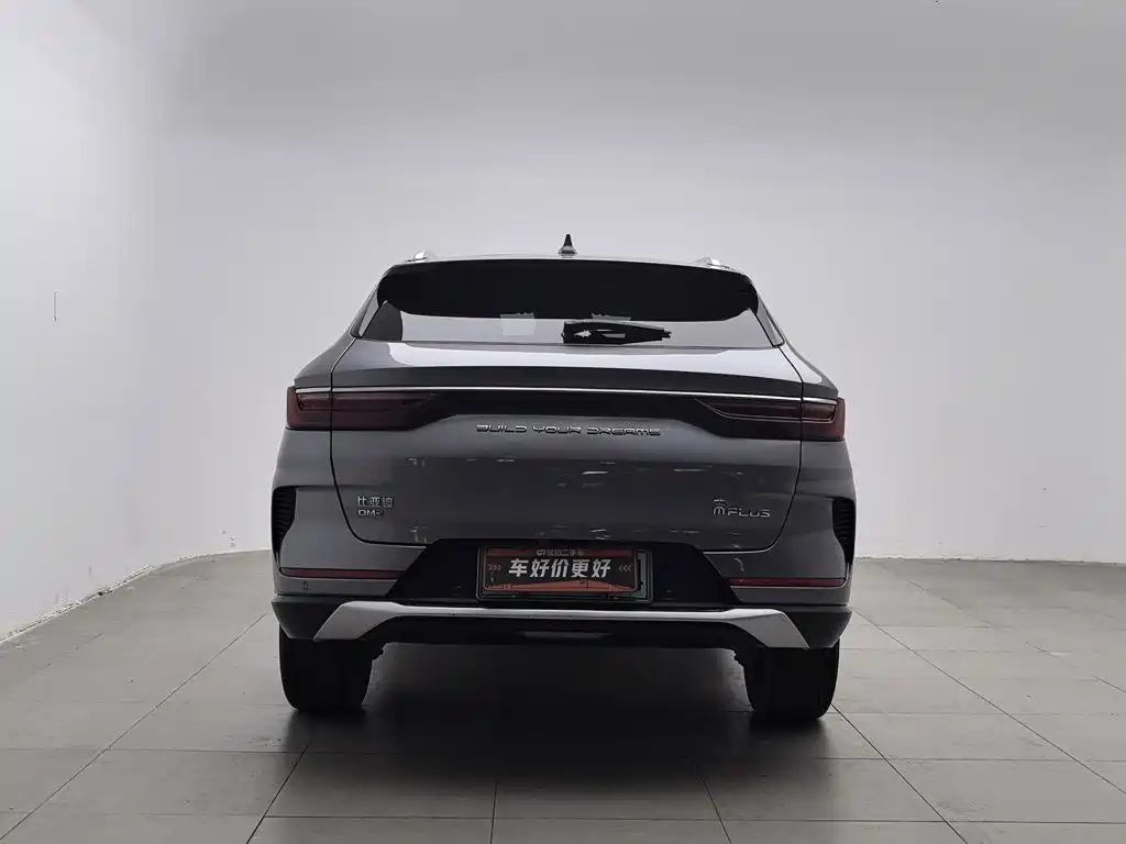 BYD PLUS New Energy — миниатюра 4