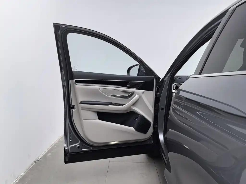 BYD PLUS New Energy — миниатюра 8