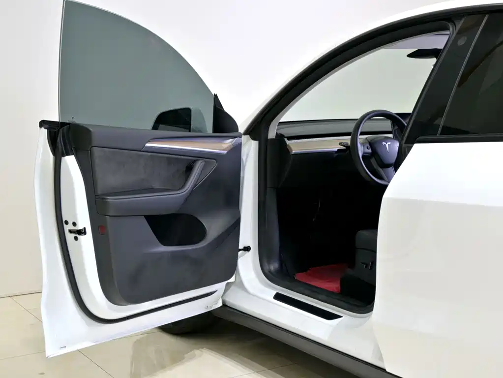 Tesla Model Y — миниатюра 6
