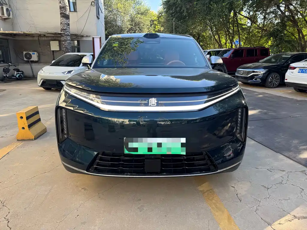 BYD Datang — миниатюра 5