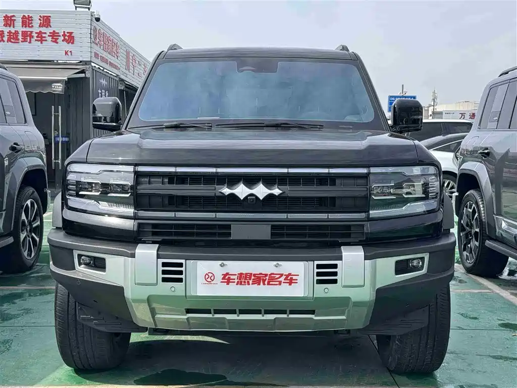 FANG CHENG BAO LEOPARD 5