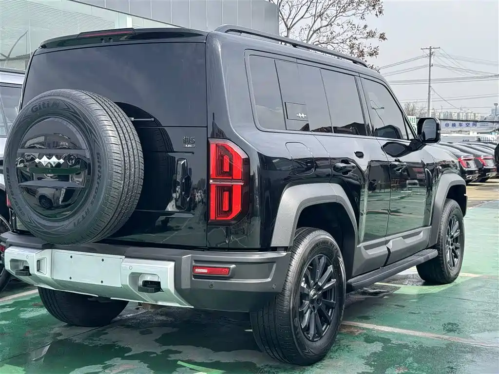 FANG CHENG BAO LEOPARD 5