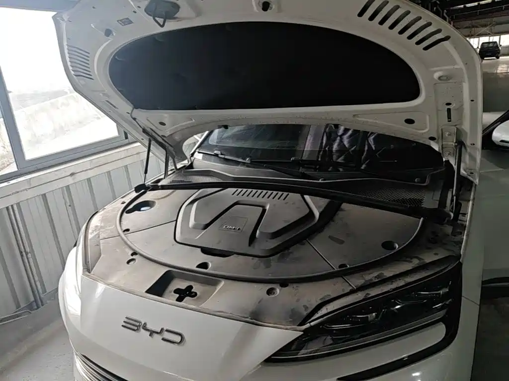 BYD PLUS New Energy — миниатюра 22