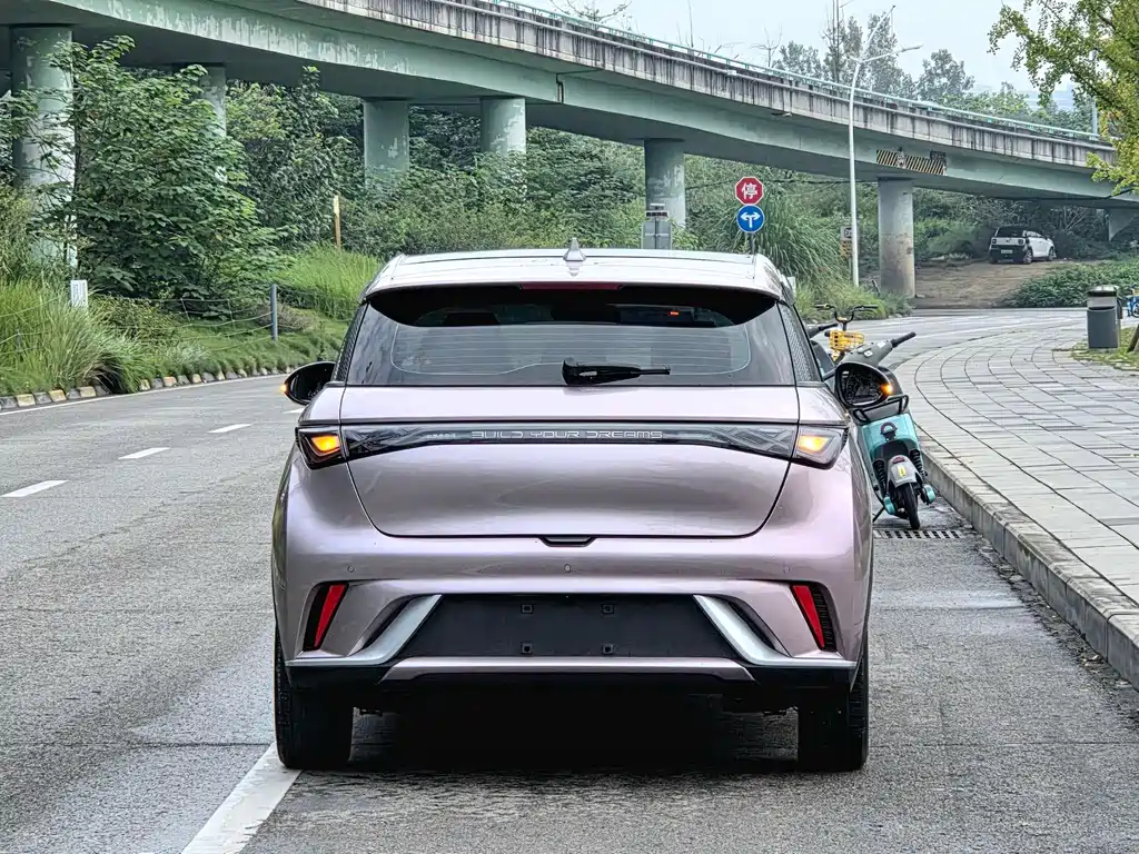 BYD Dolphin — миниатюра 17