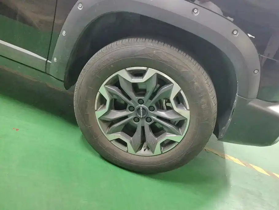 Haval Big Dog — миниатюра 6