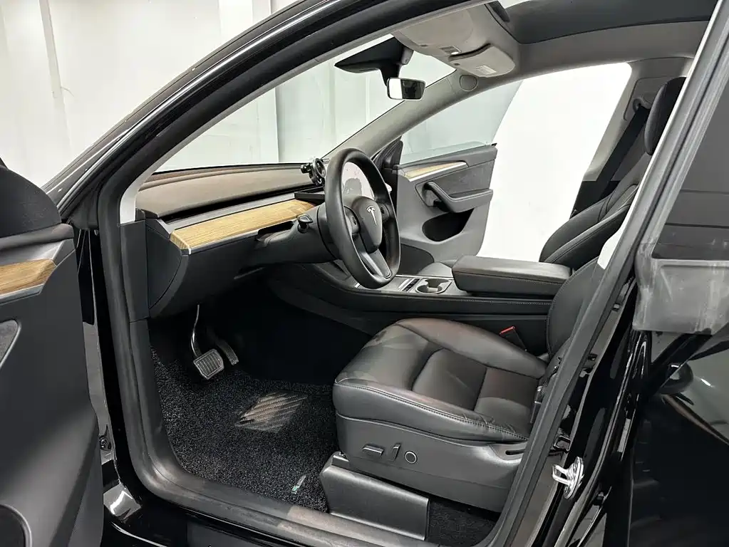 Tesla Model Y — миниатюра 7