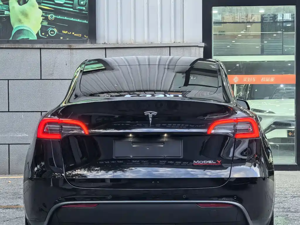 Tesla Model Y — миниатюра 5