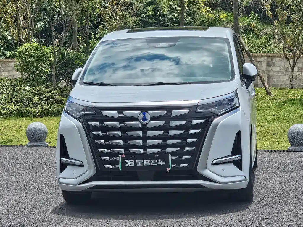 Denza Denza D9 — миниатюра 2