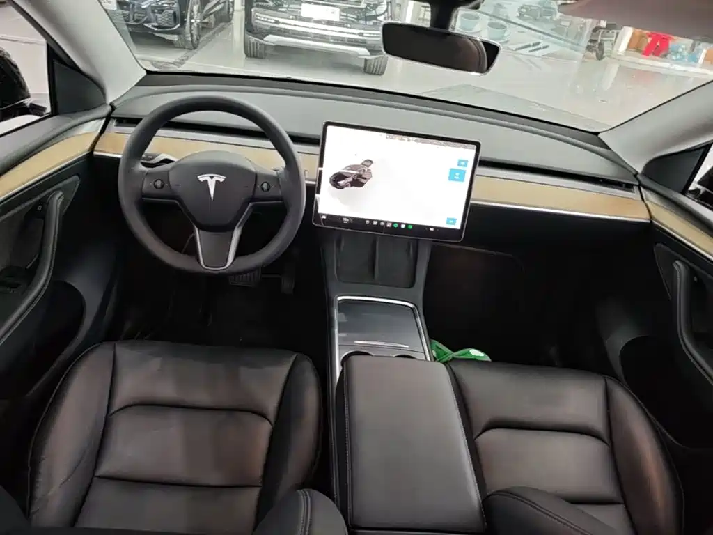 Tesla Model Y — миниатюра 10