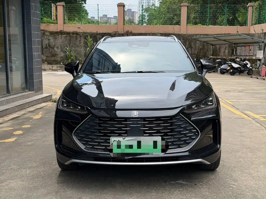 BYD Tang New Energy — миниатюра 2