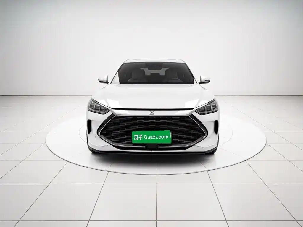 BYD PLUS New Energy — миниатюра 2