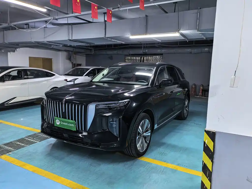 Hongqi Hongqi E-HS9 — миниатюра 2