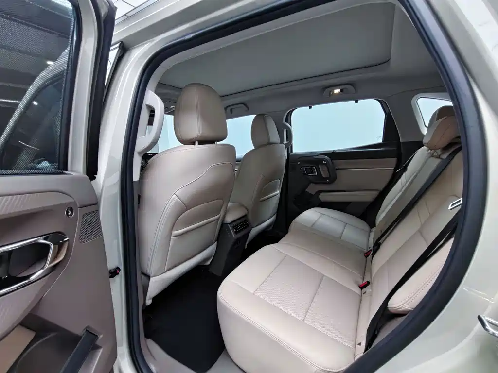Haval Big Dog PLUS New Energy — миниатюра 6