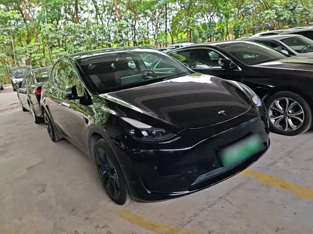 Tesla Model Y — миниатюра 4