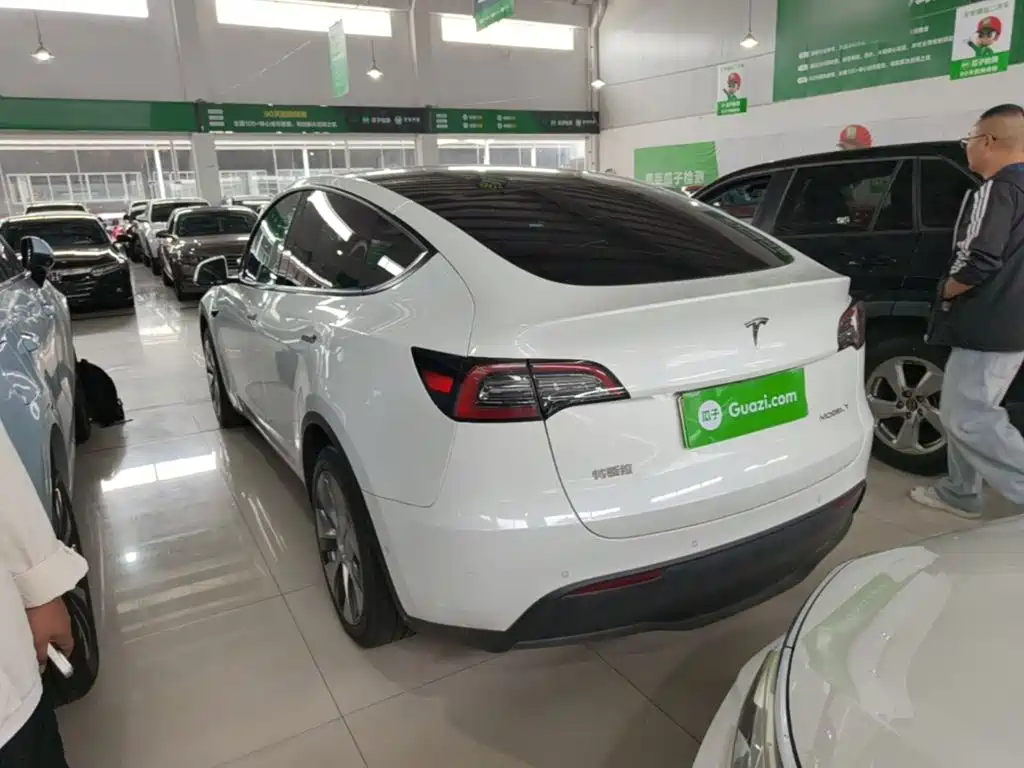 Tesla Model Y — миниатюра 5