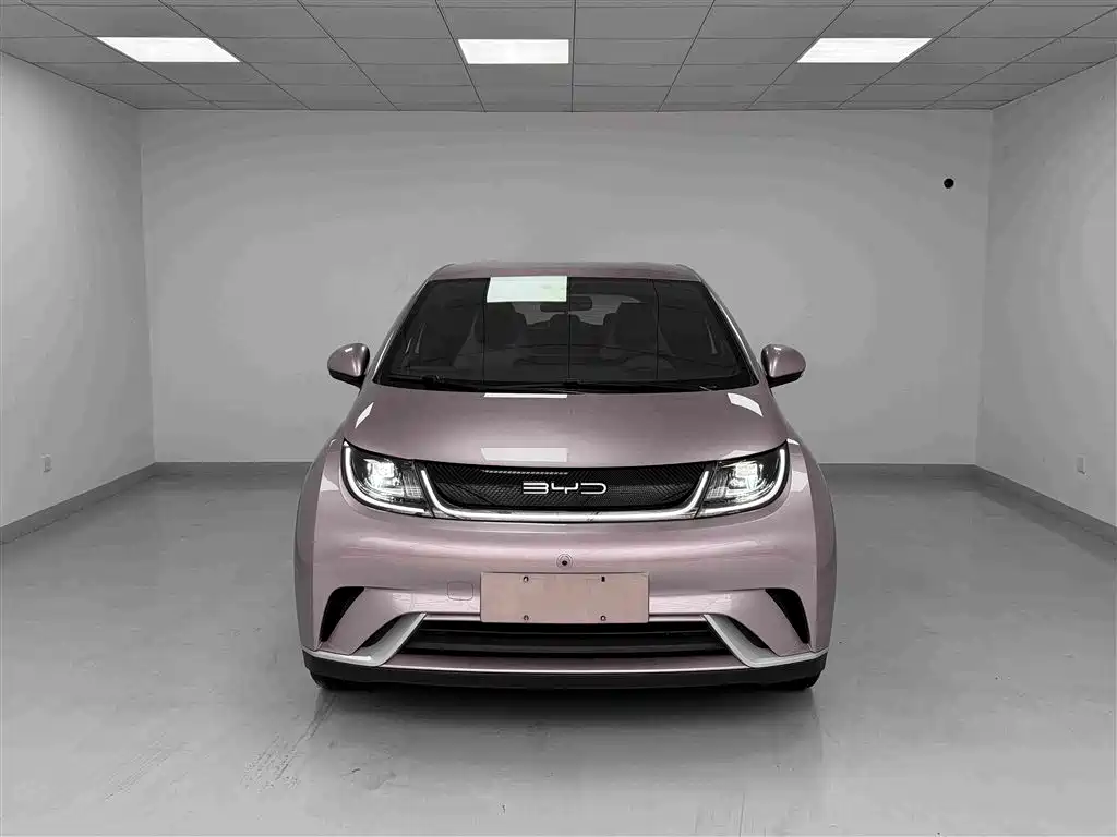 BYD Dolphin — миниатюра 2