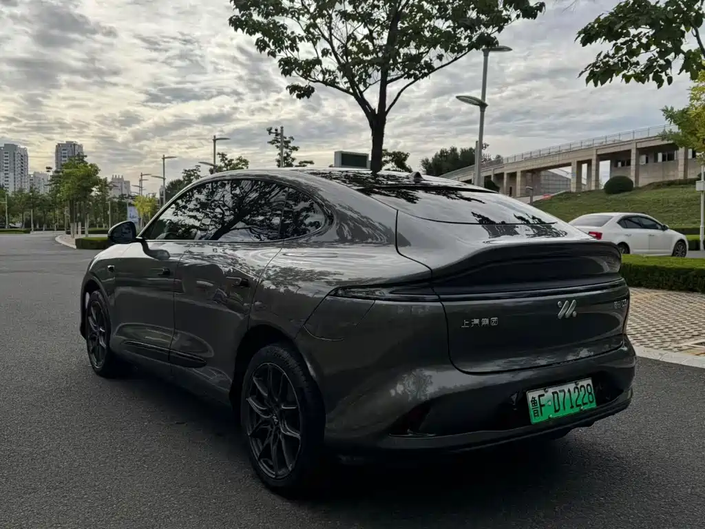 IM IM LS6 — миниатюра 7
