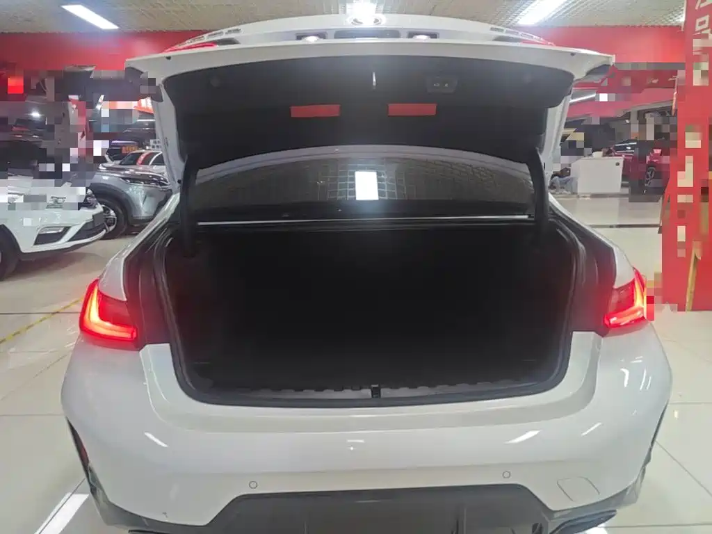 BMW 3 Series — миниатюра 19
