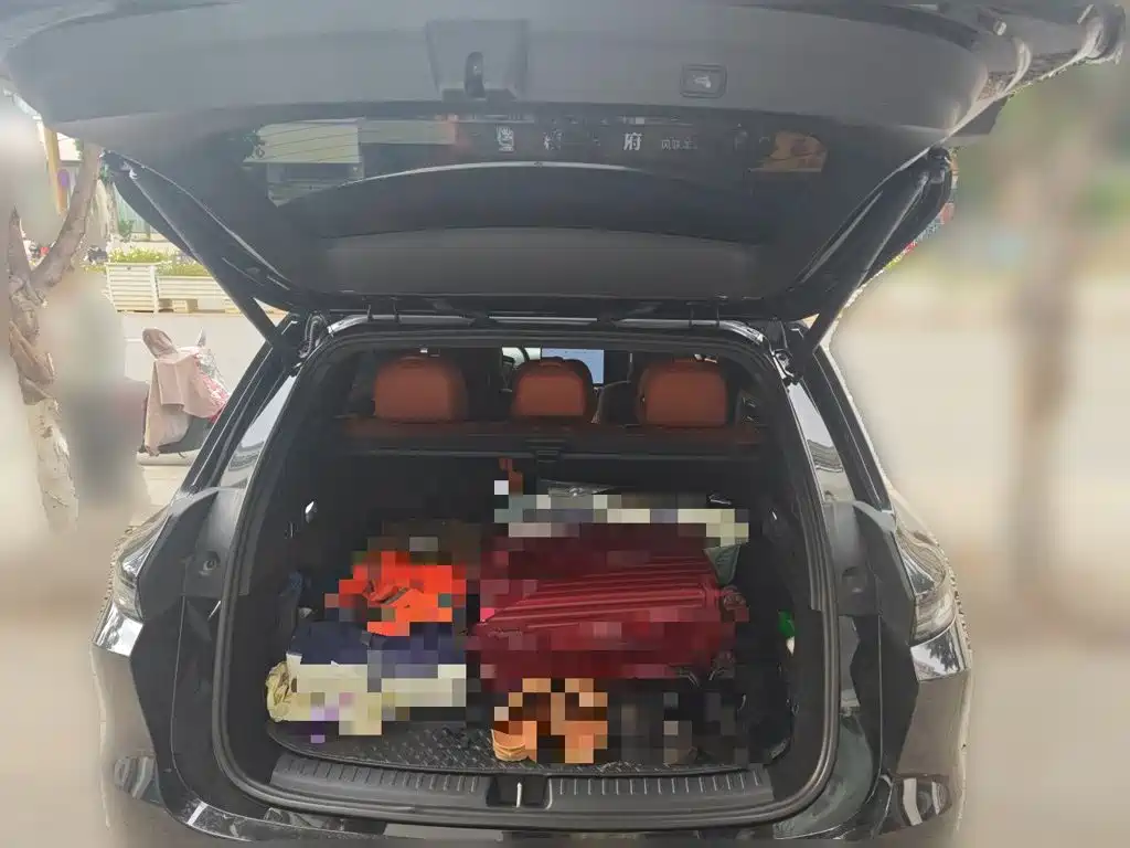 Li Auto Li L6 — миниатюра 15
