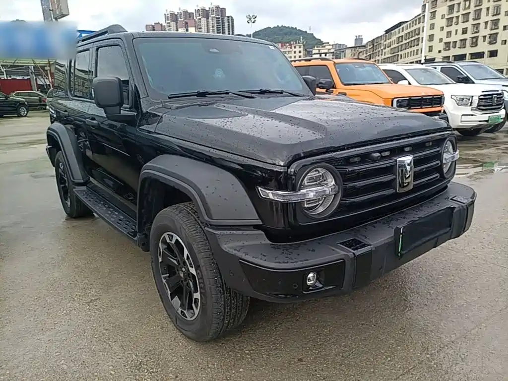 Tank Tank 300 New Energy — миниатюра 4
