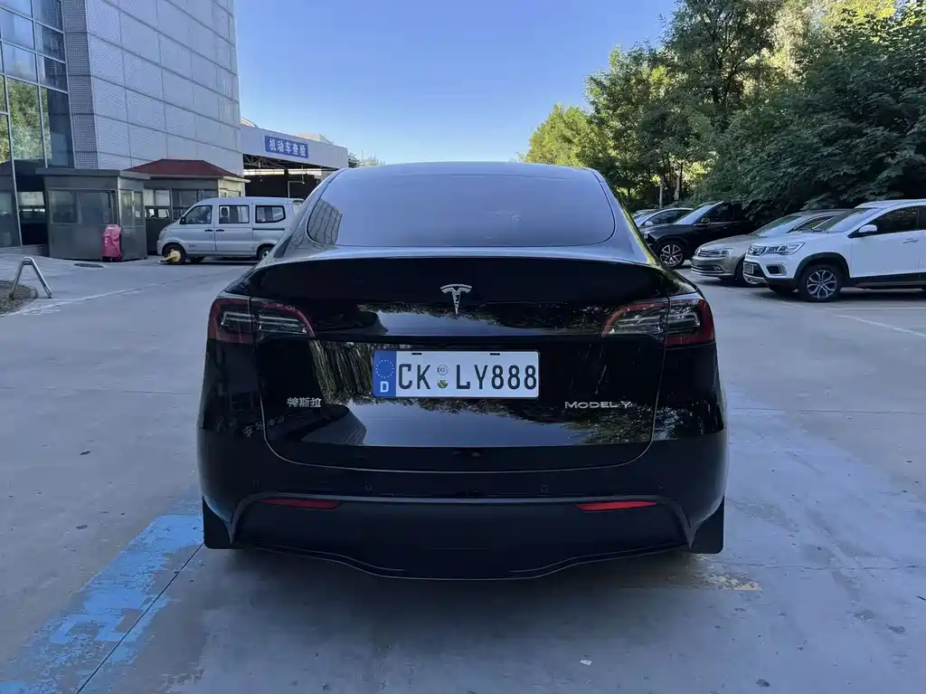 Tesla Model Y — миниатюра 4