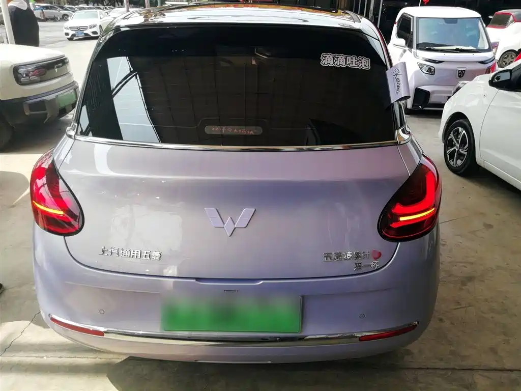 Wuling Binguo 2025 333km