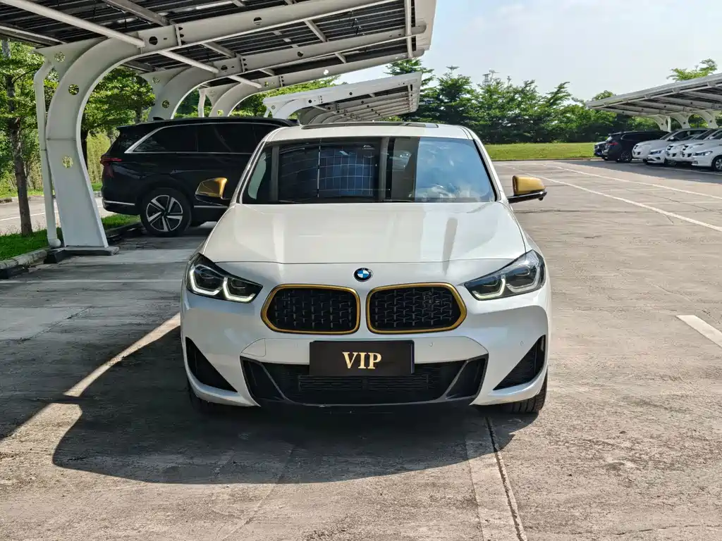 BMW X2 — миниатюра 2
