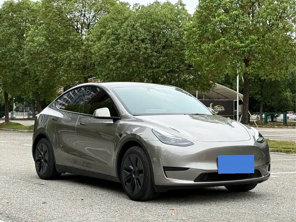 Tesla Model Y — миниатюра 3