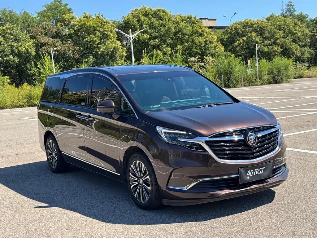 Buick GL8 — миниатюра 3
