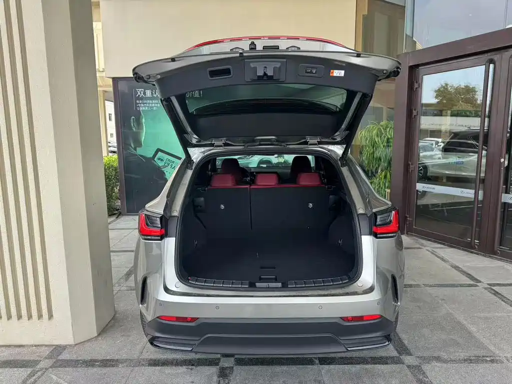 Lexus NX New Energy — миниатюра 18