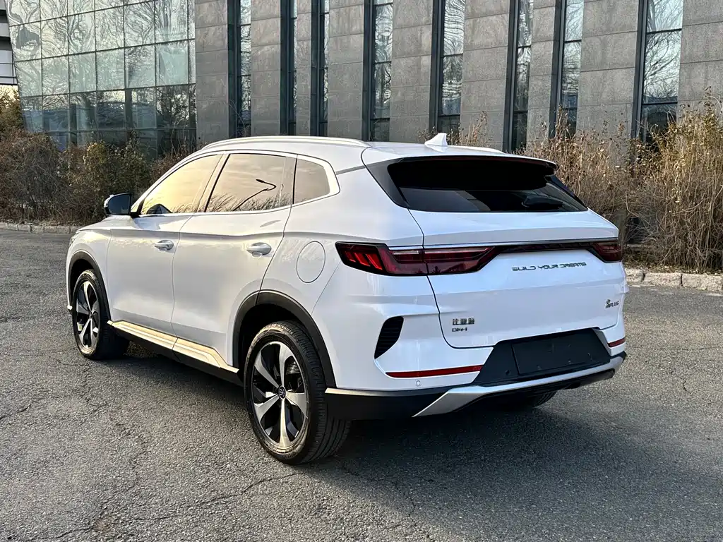 BYD SONGJIANG NEW ENERGY