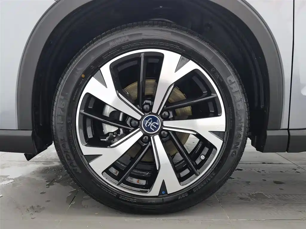 BYD SONGJIANG NEW ENERGY