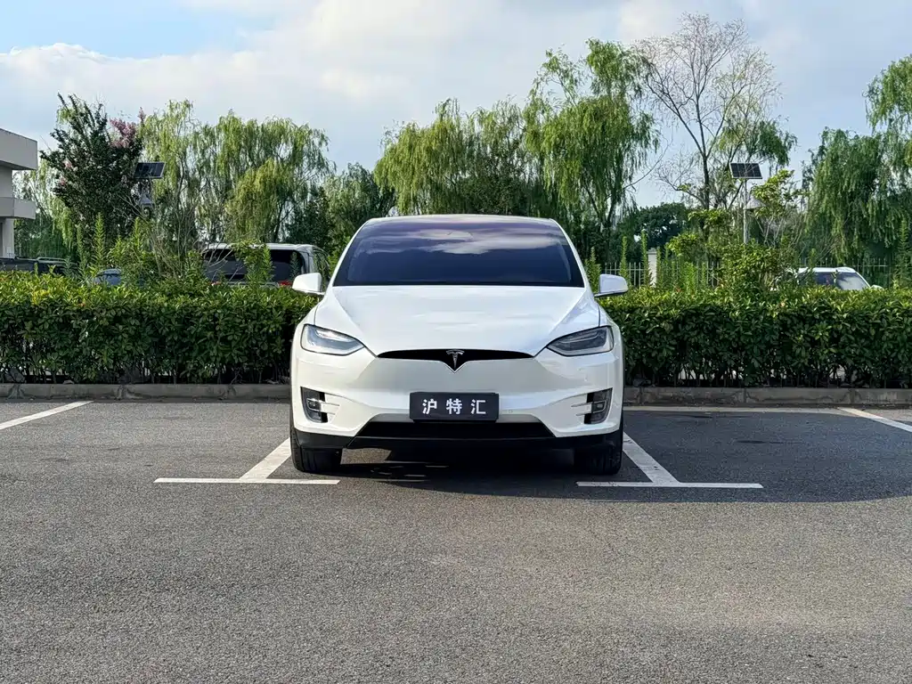 Tesla Model X — миниатюра 2
