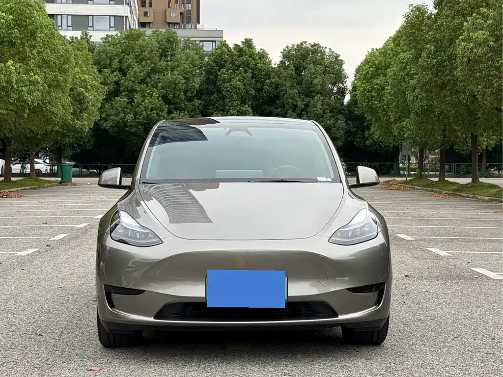 Tesla Model Y — миниатюра 2