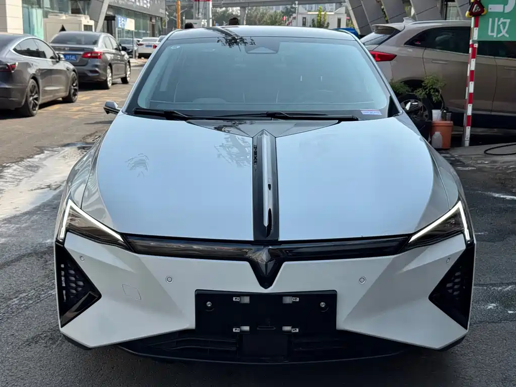 Lingxi Lingxi L — миниатюра 2