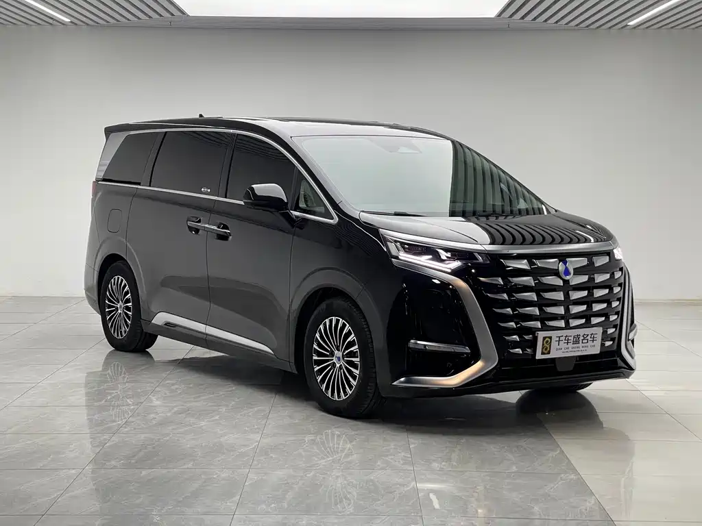 Denza Denza D9 — миниатюра 3