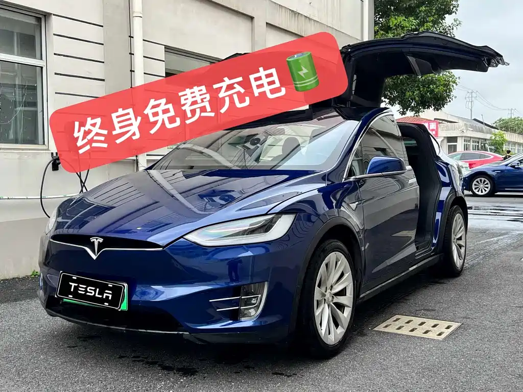 Tesla Model X — миниатюра 3