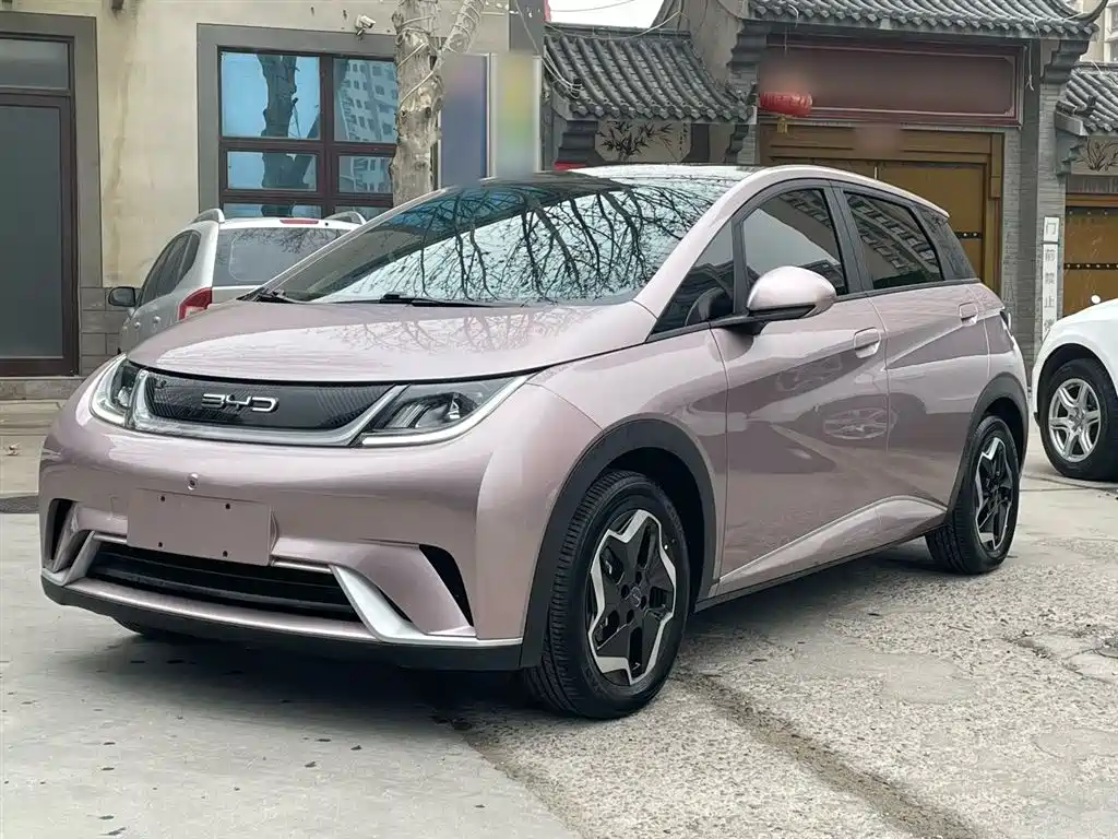 Byd Dolphin 2022
