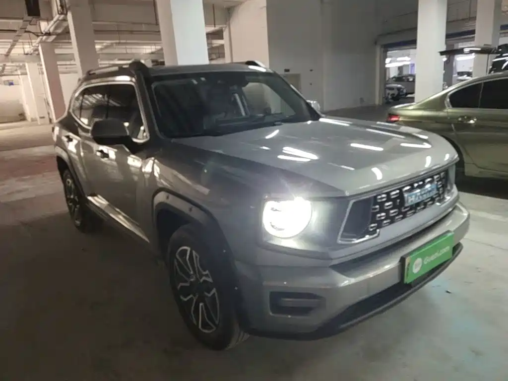 Haval Плюс новая энергия. — миниатюра 4
