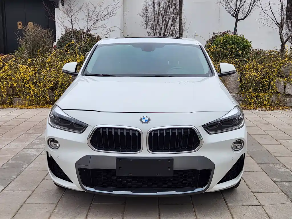 BMW X2 (Import) sDrive20i M Offroad Package China VI, фото 5