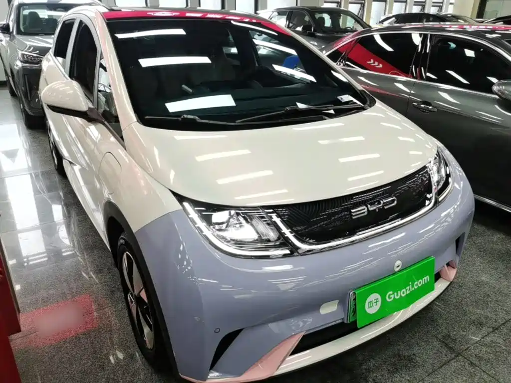 BYD Dolphin 2023 420km Fashion