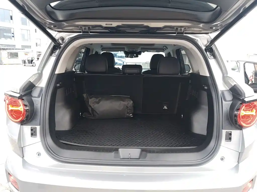 Haval Big Dog PLUS — миниатюра 19